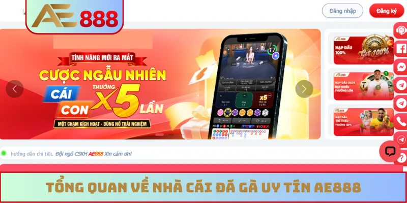 Tổng quan về nhà cái đá gà uy tín AE888
